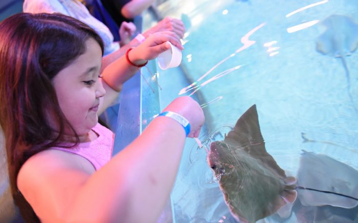 seaquest aquarium in Utah