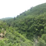Ariel View of Holbrook Canyon