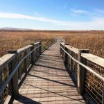 Walk Path Through the Great Salt Lake Shorelands Preserve