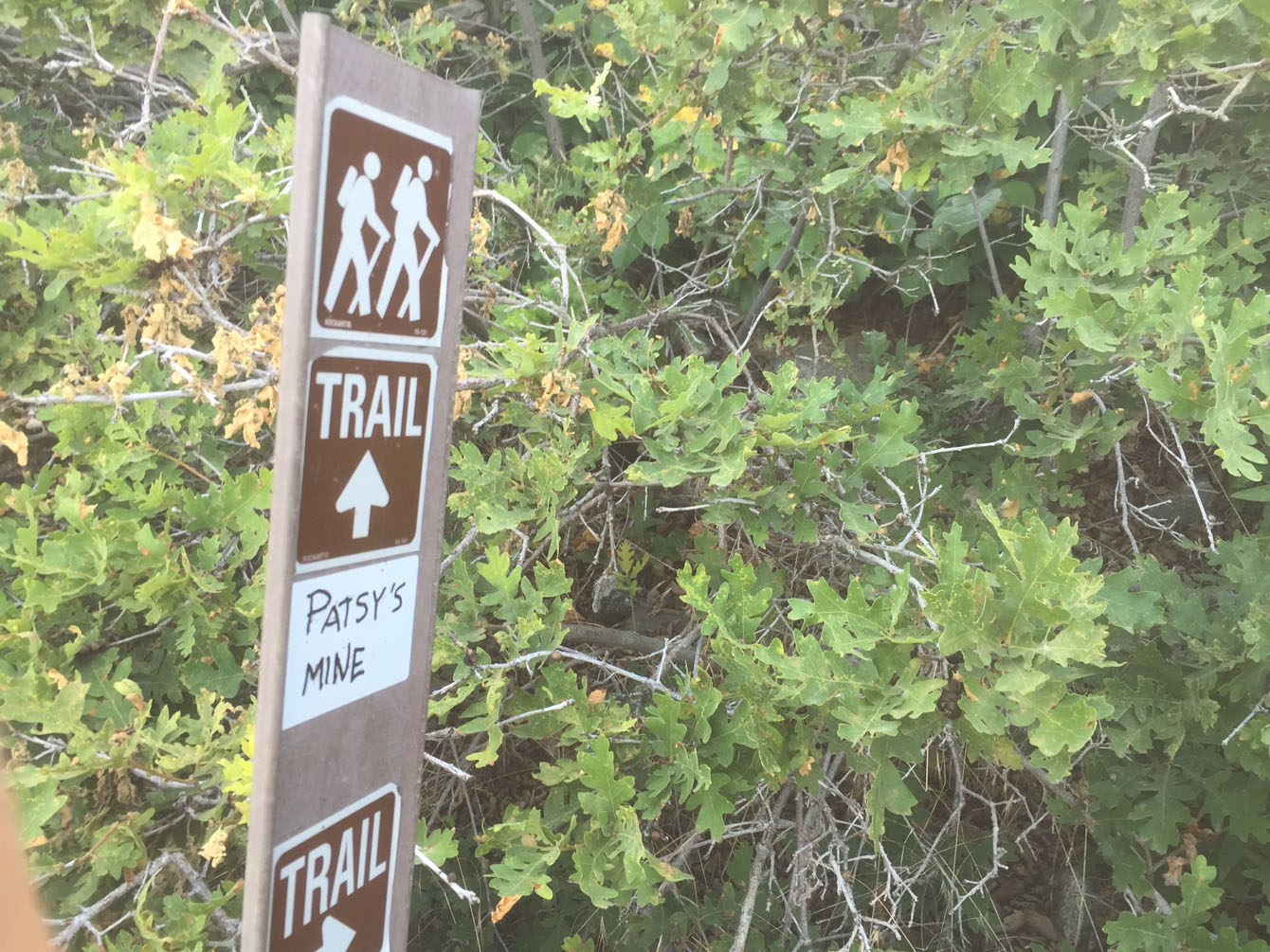 Hiking Davis County: Patsy's Mine - Discover Davis : Discover Davis