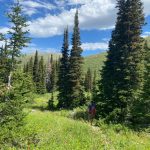 People Hiking on the Great Western Trail