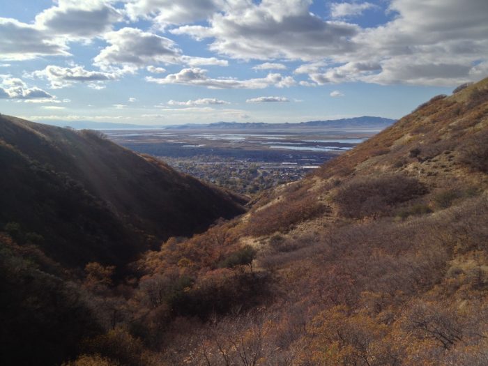 Mountain View from Deuel Creek Trail