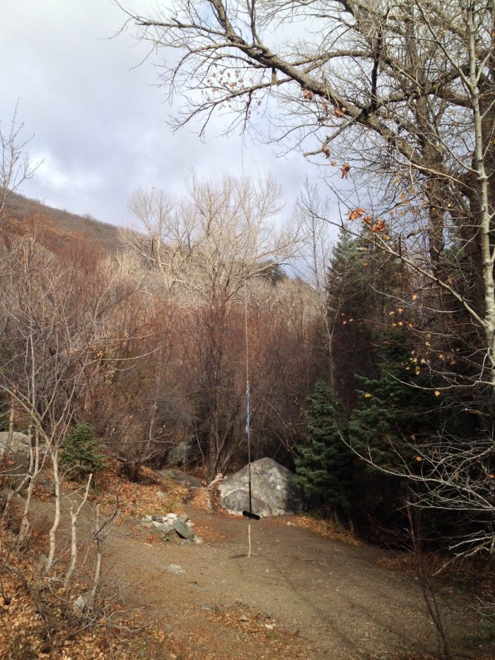 Photo of Deuel Creek Trail