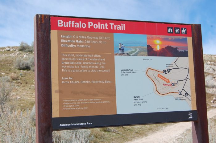 Buffalo Point Trail Map