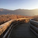 Photo of Wood Walking Trail