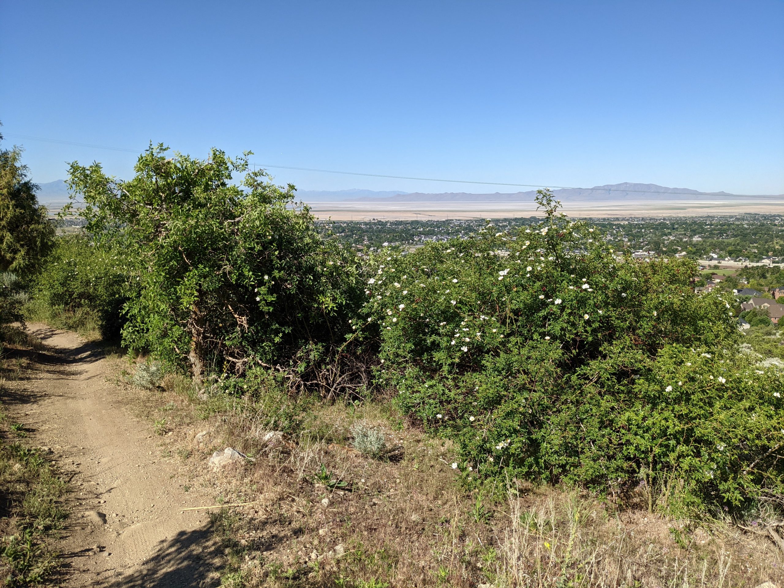 North Canyon discoverdavis 99998739 Full scaled