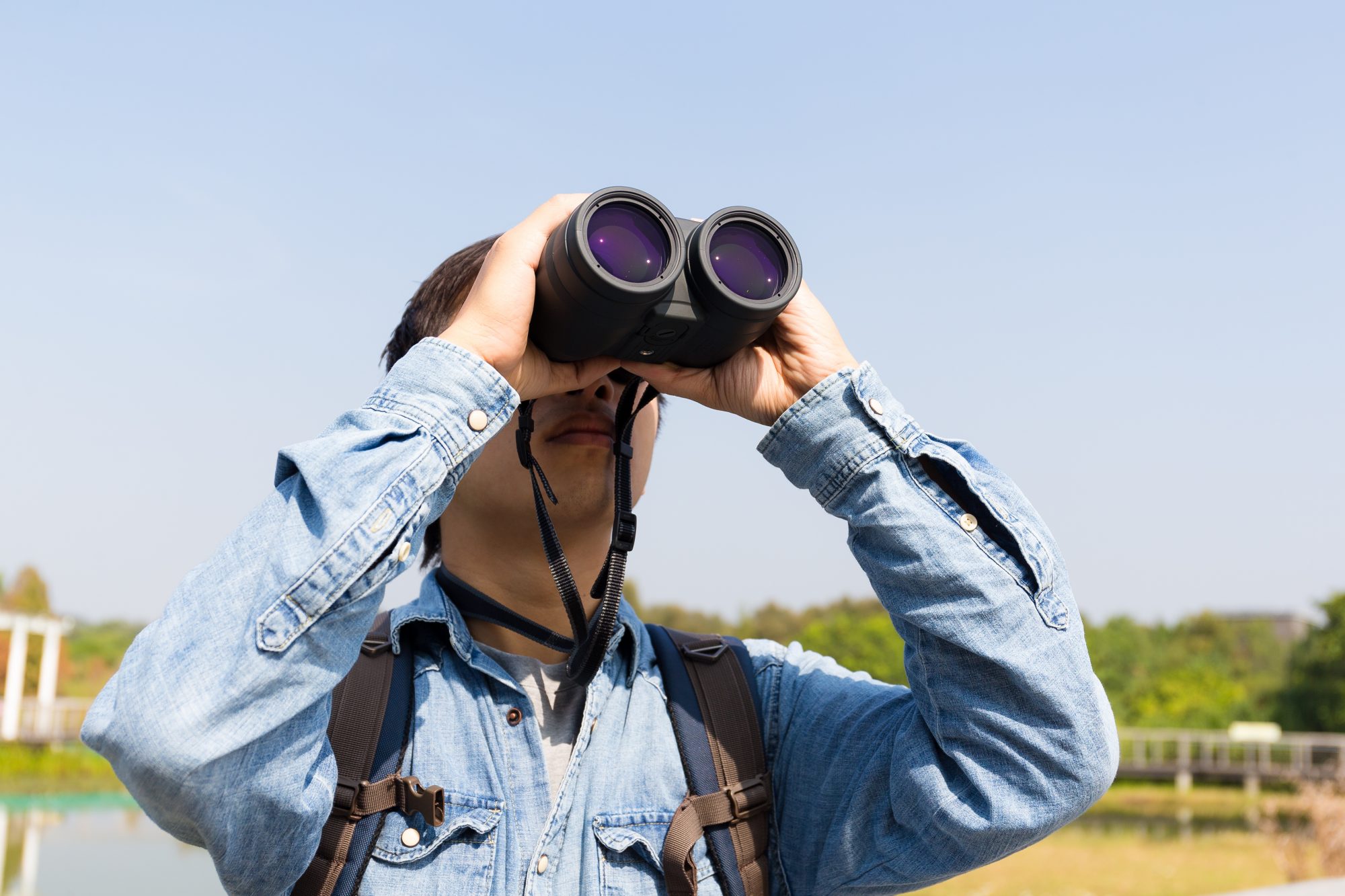 Waterfalls Bird Watching AdobeStock 99099979