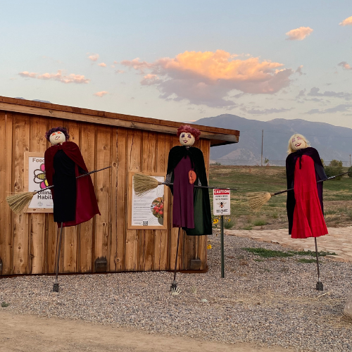 The Sanderson Sisters Scarecrow Display at the USU Botanical Center