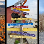 Pumpkin patch, fall festival sign, and corn maze