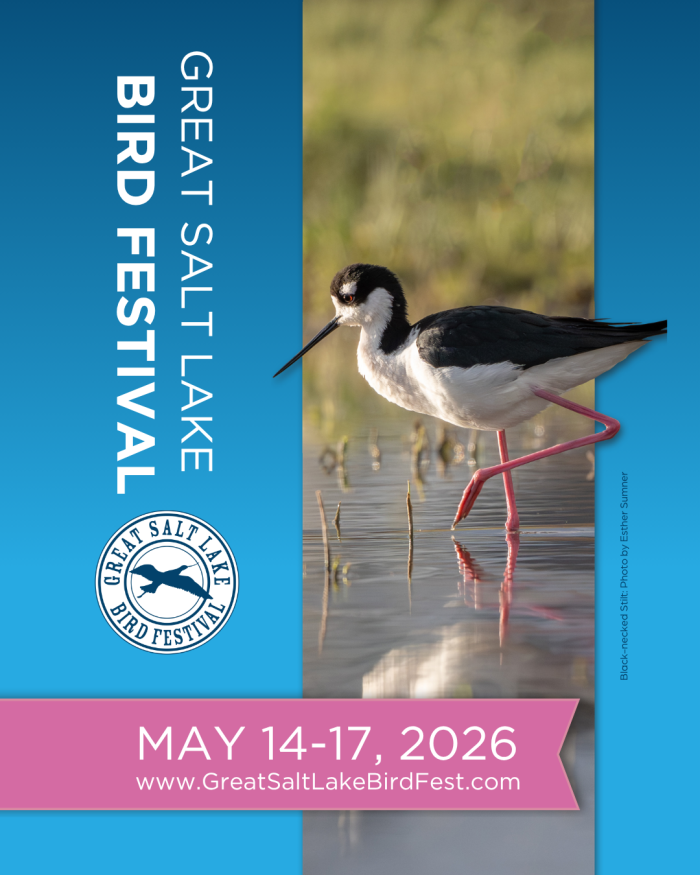 Bird Fest Instagram Posts 2