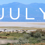 Blog Banner 9