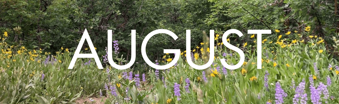 Events and Things to Do in Davis County in August