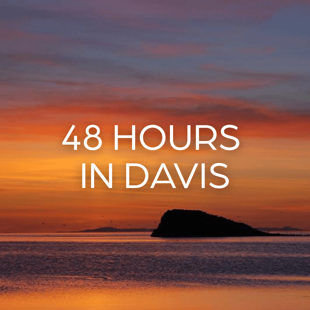 48 Hours in Davis