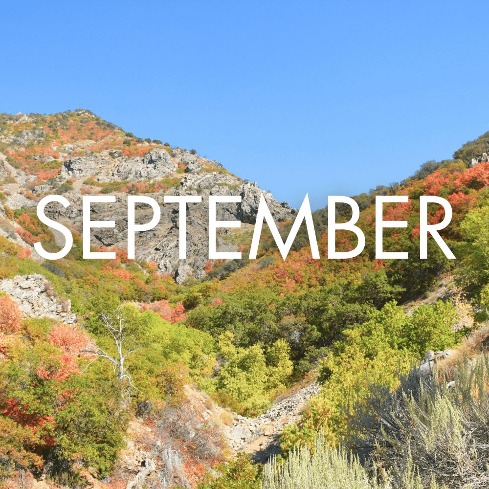 See What s In Syracuse Discover Davis Discover Davis see-what-s-in-syracuse-discover-davis-discover-davis