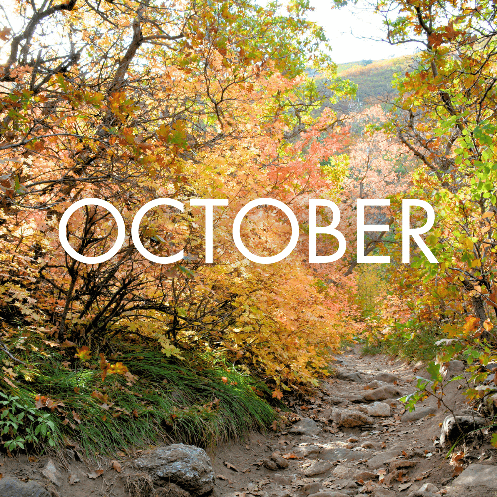 Outdoor Concerts 2025 Discover Davis Discover Davis outdoor-concerts-2025-discover-davis-discover-davis