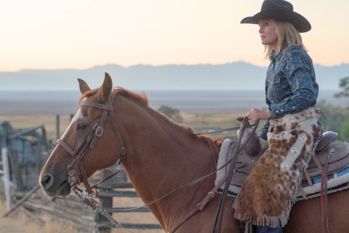 Rhodes Valley Outfitters Horseback Riding