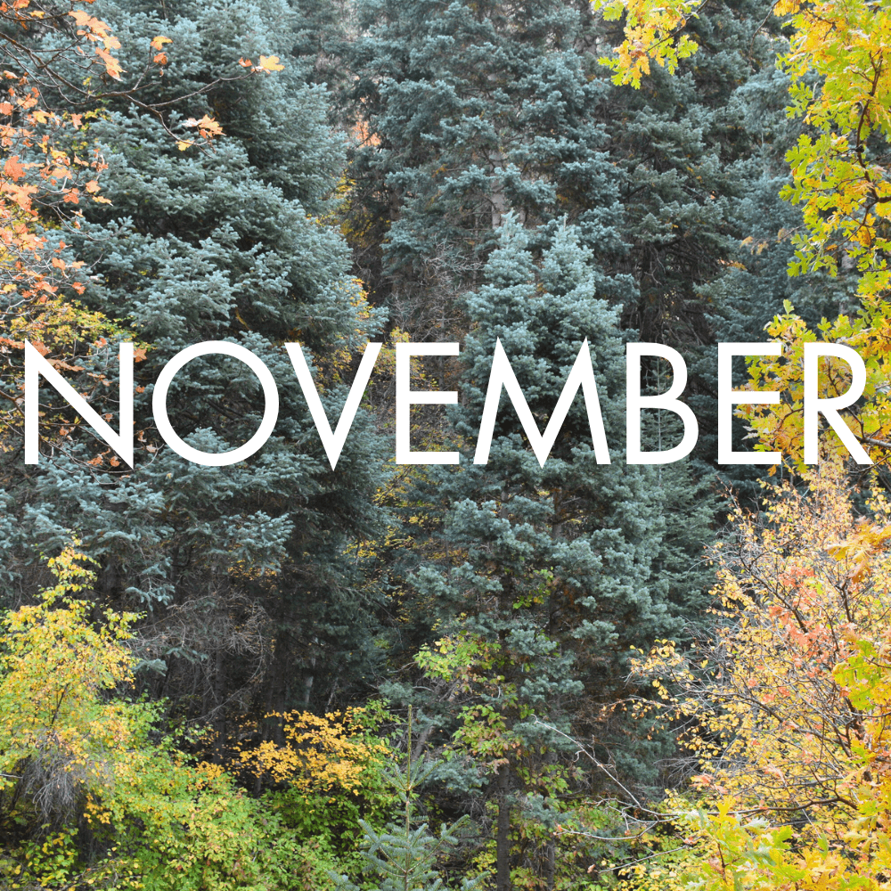 See What s In Syracuse Discover Davis Discover Davis see-what-s-in-syracuse-discover-davis-discover-davis