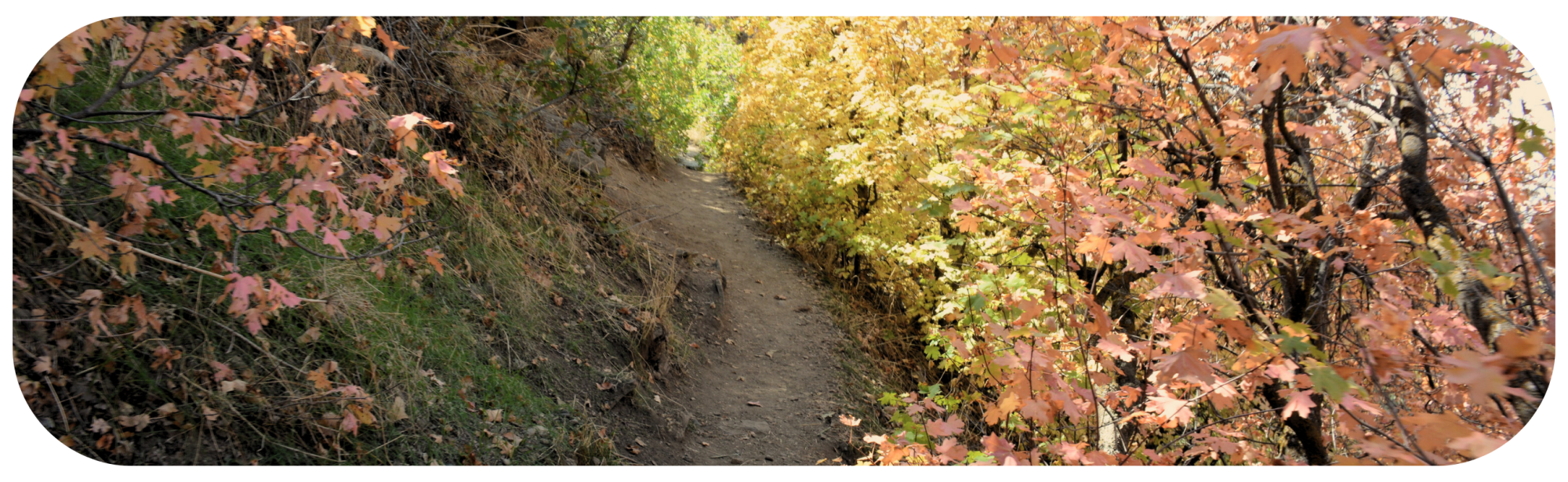 Breathe It In: Six Trails to Explore on Thanksgiving Day
