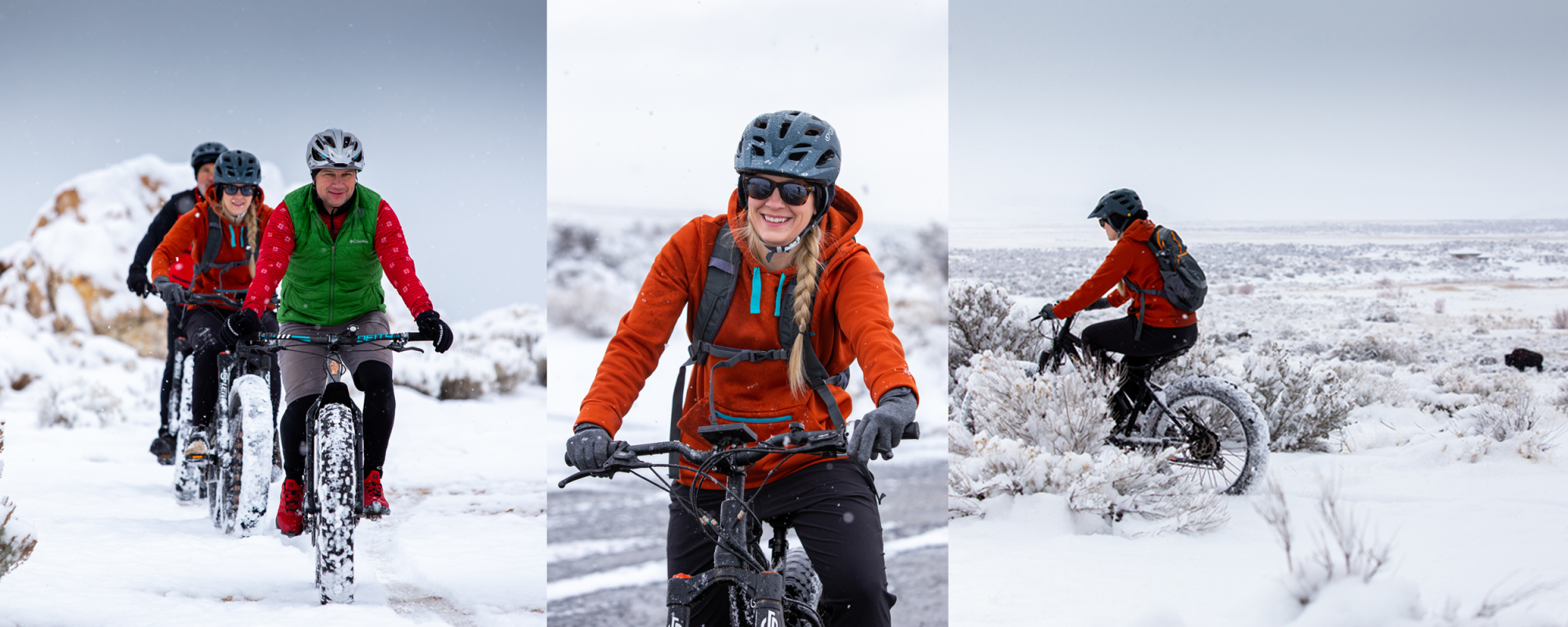 winter mnt bike aisp