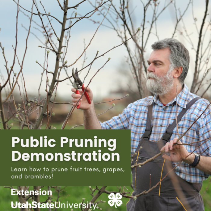 event featured 2026 public pruning demonstration 1770248243 750x750 1 1