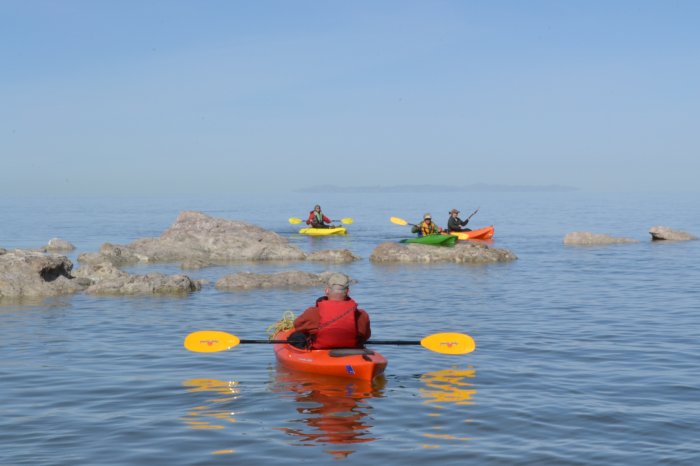 Kayaking.3.13 8