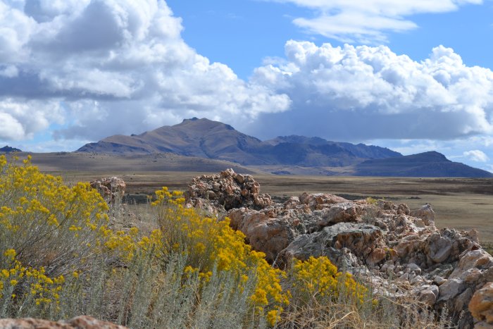 Landscape