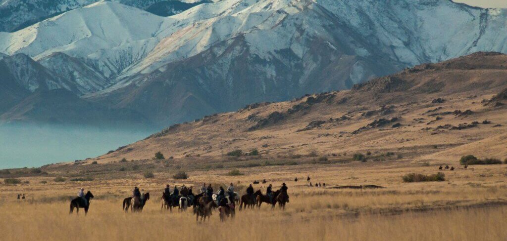 antelope bison roundup edited e1779997332662