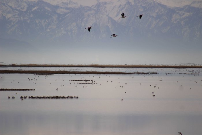 Antelope Island Causeway
