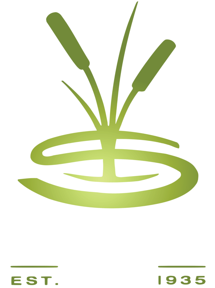 Syracuse City scaled e1783736452657
