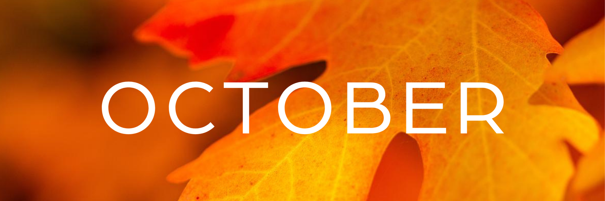 Things to Do in Davis County in October