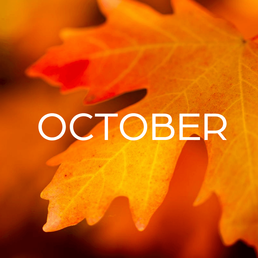 Things to Do in Davis County in October